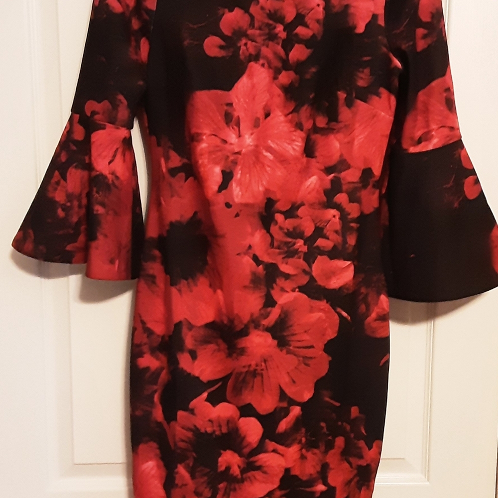 Calvin Elegant Red Floral Women's Dress